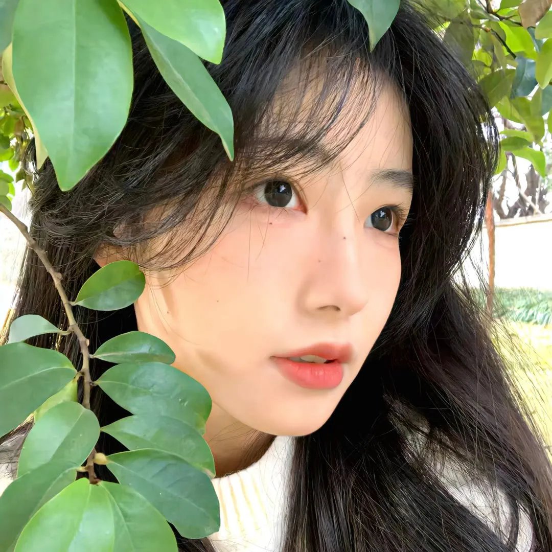 自由协议